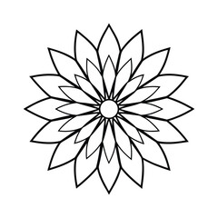 Sunflower Petal Radial Mandala Edge Vector Line Art Floral Frame Bloom Outline Decorative Design