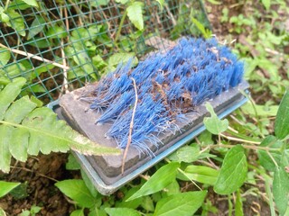 A well-used and damaged scrub brush, showing signs of wear and tear with bent and frayed bristles. 