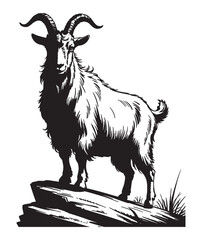 Mountain Goat Illustration on Rocky Terrain