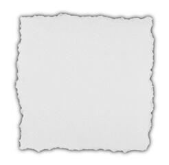 piece of blank white paper texture background torn and ripped with shadow on transparent background. document frame design