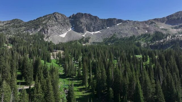 Aerial Albion Basin Alta Utah mountain pine forest 4K. Steep alpine granite mountain, valley, hiking, trails, forest, lake. Vacation destination. Nature landscape forests. Rugged Rocky Mountains