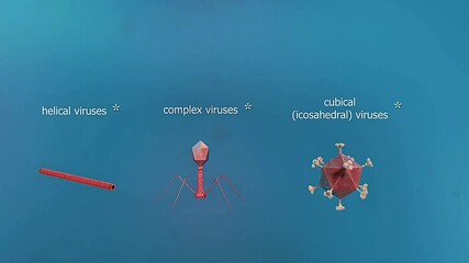 Types of viruses