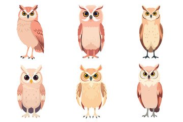Set of Cute Owl Vector Illustrations Flat Design Animals Collection Nature Wildlife Birds Graphic Resource