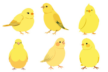 Set of Cute Cartoon Yellow Birds Vector Illustration Collection Adorable Small Canary Animal Characters Isolated Graphic Design Elements