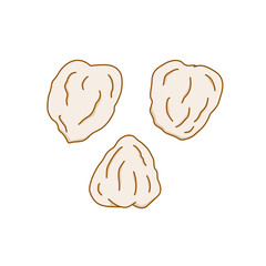 Candlenut is designed in a simple flat cartoon style. Aleurites moluccanus