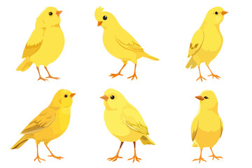 Set of Cute Yellow Canary Bird Vector Illustrations Adorable Small Songbirds with Transparent Background