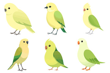 Set of Cute Small Pet Birds Vector Illustrations Collection of Colorful Cartoon Style Parrots Budgies Animals