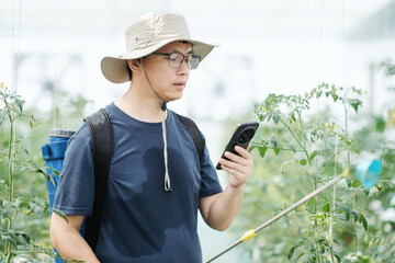 asian male farmer working in greenhouse