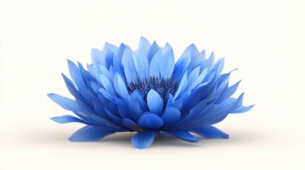 Obraz premium Beautiful blue flower isolated on white