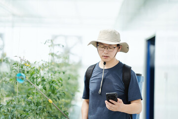 asian male farmer working in greenhouse