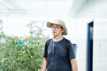 asian male farmer working in greenhouse
