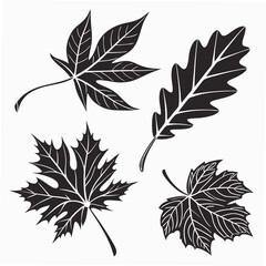Autumn leaves collection maple leaf oak leaf