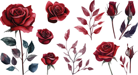 Elegant Seamless Pattern with Watercolor Red Roses and Leaves on White Background