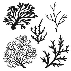 Black coral and seaweed silhouettes underwater marine life