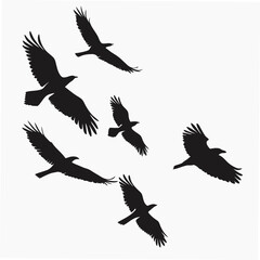 Black silhouette birds in flight flying wings spread