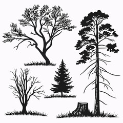 Black tree silhouettes with grass and stump pine bare