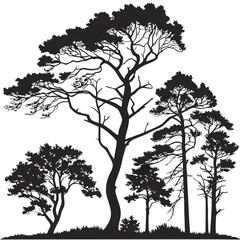Obraz premium Diverse forest trees black silhouette against white