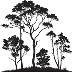 Obraz premium Diverse forest trees silhouette against white background