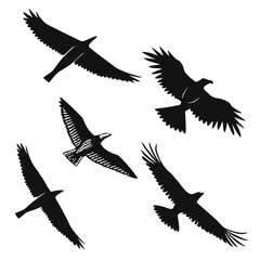 Five black bird silhouettes in flight birds flying