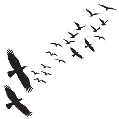 Flock of birds in flight silhouettes flying black