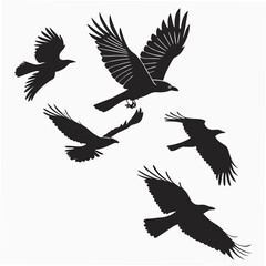 Obraz premium Flock of Crows in Flight Silhouette birds flying