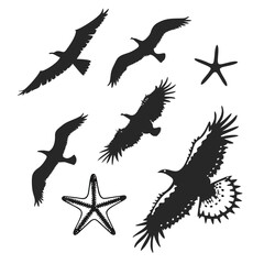Flying birds and starfish silhouettes eagle seagull