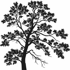 Format: Title: Black tree silhouette with detailed foliage