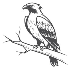 Majestic eagle perched on branch bird wildlife