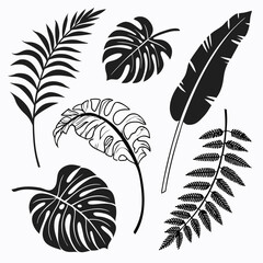 Obraz premium Tropical plant leaves silhouettes tropical leaves jungle plants