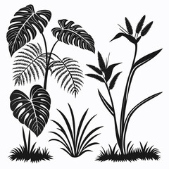 Tropical plants silhouettes monstera fern bird of paradise
