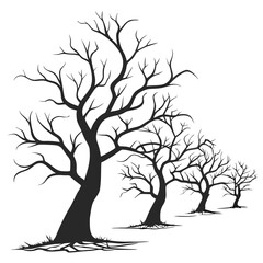 Twisted bare trees silhouetted against white branches