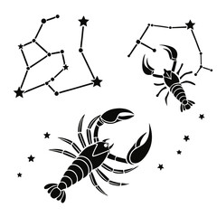 Zodiac constellations and lobsters stars astrology