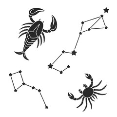 Zodiac constellations and scorpions astrology stars