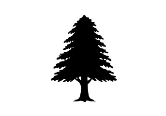 Midnight Conifer Silhouette