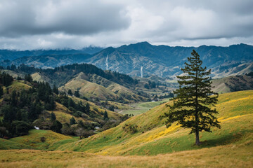 Fototapeta premium Scenic View of Rolling Hills and Wind Turbines