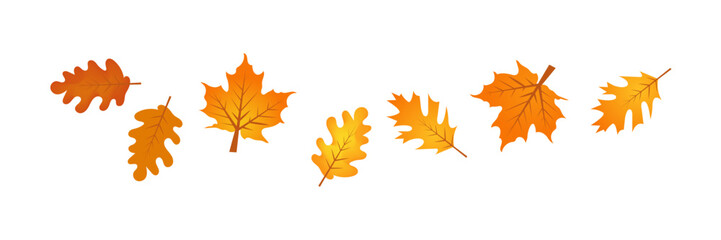 Falling Autumn Leaves Oak, Maple, Orange, Yellow, Season