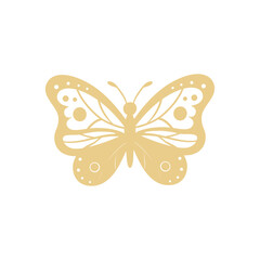 Butterfly Aesthetic Illustration