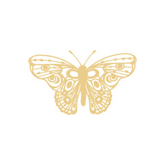 Butterfly Aesthetic Illustration