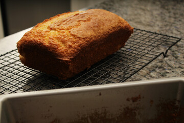 Freshly Baked Pound Cake in Warm, Casual Kitchen Environment