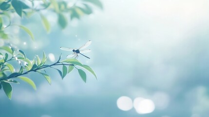 Soft-Focus Nature Scene