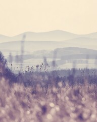 Dreamy mountain landscape with golden field