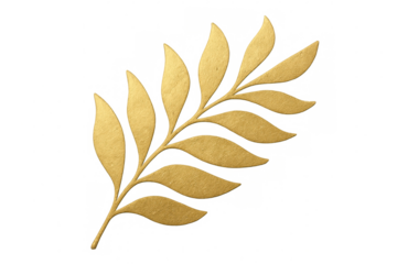 Golden leaf branch displaying delicate veins, transparent backdrop highlighting botanical elegance and luxurious design elements