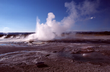 geyser in yellowstone national park