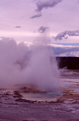 geyser in yellowstone national park