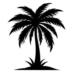 Fototapeta premium silhouette of palm tree