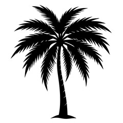palm tree silhouette