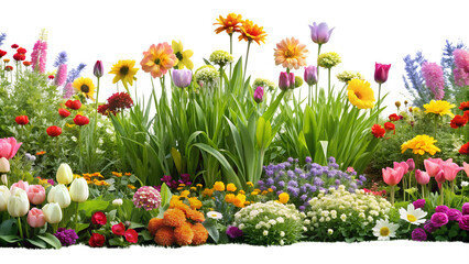A lush and vibrant flower garden bursting with color and life isolated on transparent background