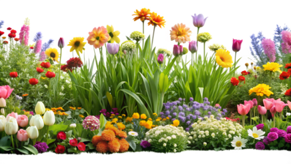 A lush and vibrant flower garden bursting with color and life isolated on transparent background