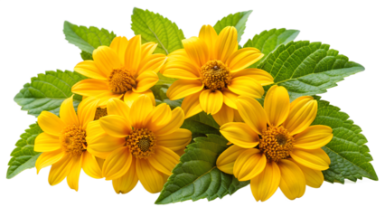 A vibrant bouquet of yellow flowers with lush green leaves isolated on transparent background