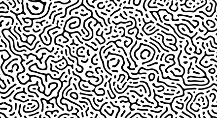 Fototapeta premium Black and White Abstract Turing Pattern Background